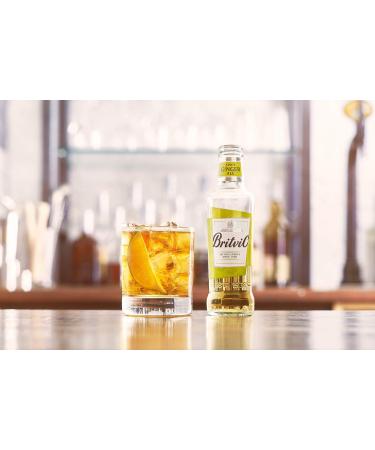  Britvic Britvic Ginger Ale 24 x 200 ml - Buy Online on GoSupps.com