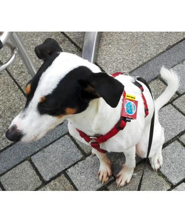 Josi.li Nappa Leather Dog Collar Bag - Eco-Friendly Fits Up to 35mm Collars Available in Multiple Colors - Buy Online on GoSupps.com