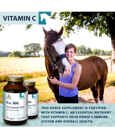 Purica Equine Recovery Supplement - Hyaluronic Acid for Horses Vitamin C Joint Support - Horse Supplements for Recovery and Joint Health - 330g 330 g (Pack of 1) - Buy Online on GoSupps.com