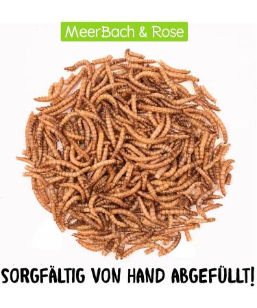 Buy 800g Dried Mealworms for Wild Birds Fish & Reptiles - High Protein Snack in Practical Bucket | 5kg Pack for International Shipping - Buy Online on GoSupps.com