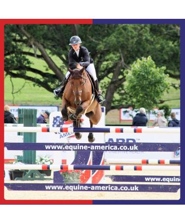 Cortaflex Equine America Regular Powder - Premium Joint & Mobility Support for Horses & Ponies | 3.6kg | International Shipping Available - Buy Online on GoSupps.com