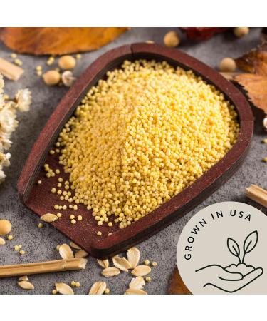 Be Still Farms Organic Hulled Millet Grain (5lb) - USA Grown | USDA Certified | Vegan | Non-GMO | High Fiber Whole Millet Seeds - Ideal for Cereal, Rice, Grits, and Salad - Buy Online on GoSupps.com