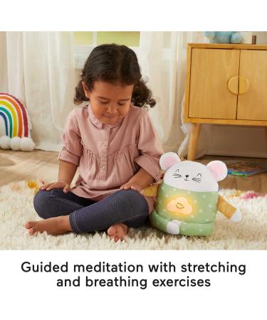Fisher-Price Meditation Mouse Plush Toy - Soothing Sounds & Guided Meditation for Kids 2+ - Buy Now! - Buy Online on GoSupps.com