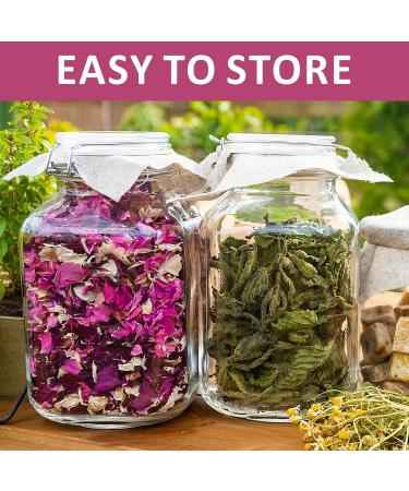 Dried Rose Peatls Whole Dry Roses Flower Buds Edible Natural Pure Organic Roses Herb for Drinking DIY Gift 0.9 oz - Buy Online on GoSupps.com