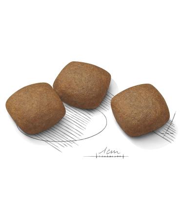 Common care Adults Royal Royal Canine Maxi 10kg 10000 g - Buy Online on GoSupps.com