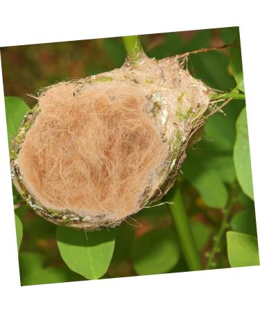 Yardwe BAST-Grasseide Gift Box for Wild Birds | Nesting Materials & Accessories | 22x12x4 cm - Buy Online on GoSupps.com