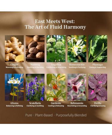 Clarity Warming Relief Essential Oil Blend - Ginger Angelica Alisma & Nutmeg for Fluid Balance Circulation & Deep Comfort - 5ml Natural Skin-Safe Aromatherapy (0.17 Fl Oz (Pack of 1)) - Buy Online on GoSupps.com