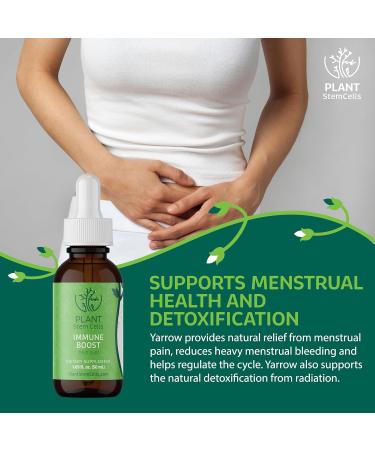 Plant Stem Cells Gemmotherapy Immune Boost | Black Elder (Elderberry) Echinacea & Yarrow | Natural Immune Support Metabolic Health Menses Health Detoxification and Wellness* Daily Multivitamin - Buy Online on GoSupps.com