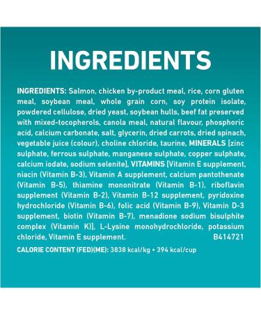 Purina ONE +Plus Dry Cat Food Indoor Advantage Salmon - 1.8 kg Bag 1.8 kg (Pack of 1) - Buy Online on GoSupps.com