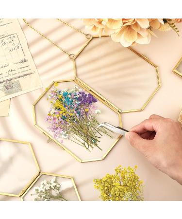 Dried Babys Breath Flowers - 100 Pcs Natural Gypsophila Branches for DIY Crafts and Gifts - Mixed Color Pressed Baby's Breath Flowers - Buy Online on GoSupps.com