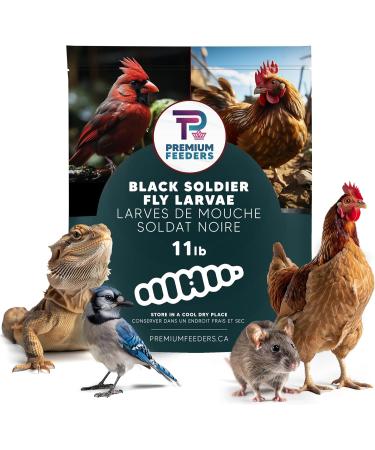11lb - Dried Black Soldier Fly Larvae by Premium Feeders Dried mealworms Alternative Treats for Chicken Hens Duck Bird Quail Tortoise Fish High Calcium & Protein All Natural BSF - Buy Online on GoSupps.com