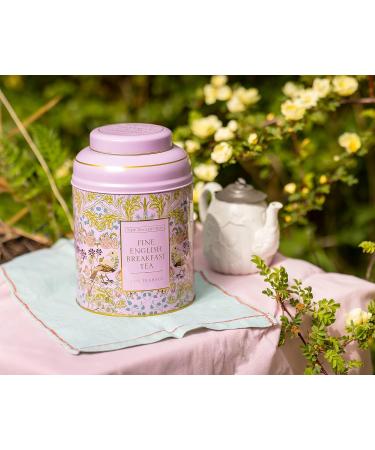 New English Teas Song Thrush & Berries Tea Caddy - 240 English Breakfast Teabags | Pink Design - Buy Online on GoSupps.com