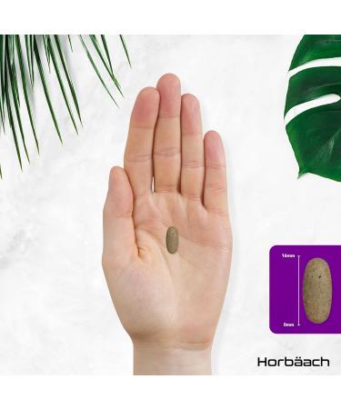 Multivitamins Women 50 Years | 27 Multivitamins Minerals and Essential Plants | with Vitamin C for Normal Collagen Formation Biotin B6 and B12 | 120 Vegetarian Tablets | by Horbaach - Buy Online on GoSupps.com