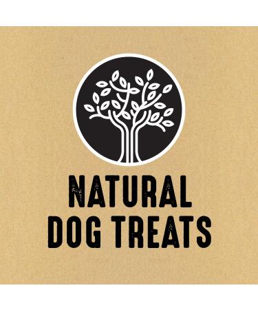 Nature's Recipe Chewy Bites Grain Free Chicken Sweet Potato & Apple Recipe Dog Treats 227g Chicken Sweet Potato & Apple 227 g (Pack of 1) - Buy Online on GoSupps.com