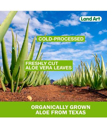 Pure Aloe Vera Drinkable Gel Cranberry Flavor 500ml - for Heartburn Relief & Acid Reflux - Cold-Processed - from Organic Fresh Leaves - Made in Canada 500 ml (Pack of 1) - Buy Online on GoSupps.com