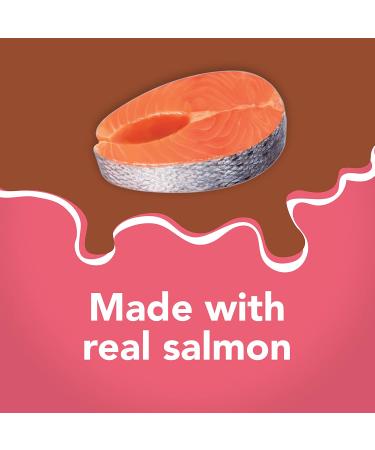 Purina Friskies Extra Gravy Salmon Pate Wet Cat Food 5.5 oz. Cans (Pack of 24) - Buy Online on GoSupps.com