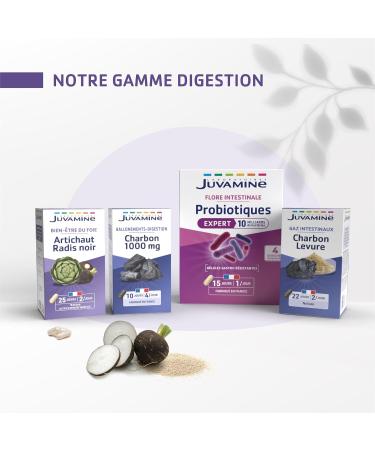 JUVAMINE Bien- tre Gastro-Intestinal Gel d'Aloe vera Gel avaler Pr t consommer Compl ment Alimentaire Vegan Fabriqu en France 7 sticks - Buy Online on GoSupps.com