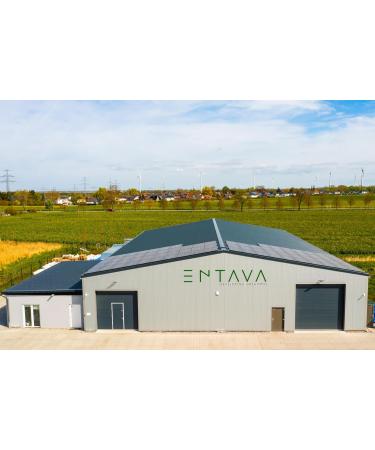 ENTAVA Fresh Insect Puree 400g Can - 100% Mealworms for Hedgehogs Birds Reptiles & More | Premium Pet Feed for All Pets - Buy Online on GoSupps.com