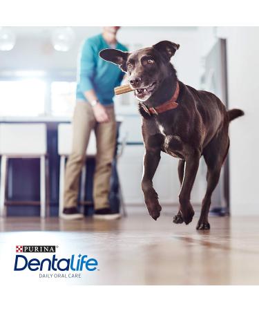 Purina Dentalife Dog Treats - Tartar Control Snacks for Small to Large Dogs 6 x 142g (852g) - International Shipping Available - Buy Online on GoSupps.com