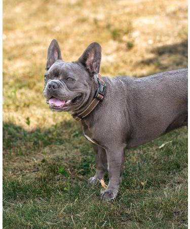 Lonto Durable Nylon Dog Collar - Soft Padded Size S 360 Reflective Click Closure Metal Ring - Brown - Buy Online on GoSupps.com