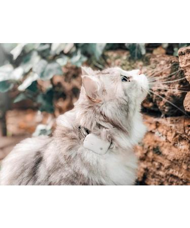 Girafus Pro-Track Goal Tracker for Cats & Dogs | Mini RF Tracker 8G with Battery | Locate Up to 4 Pets Indoors - Buy Online on GoSupps.com