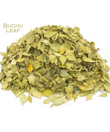 Buchu Leaf and Green Tea Herbal Infusion (Longjing - 25 Unbleached Tea Bags - 50g) Longjing Green Tea - Buy Online on GoSupps.com