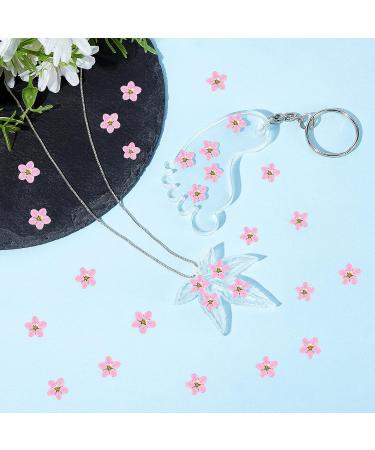 Timtin 100 Pcs Natural Forget Me Dried Flowers for DIY Jewelry, Candle, and Card Making - Real Pressed Flowers for Resin Ornaments and Nail Art Decorations (Pink) - Buy Online on GoSupps.com