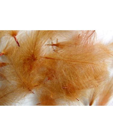 Pechetruite 1g - CDC (Cul de Canard) Feathers - Rusty Spinner - For Fly Tying