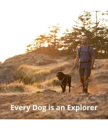 Shop Luffwear Front Range Dog Harness | Reflective Adjustable & Comfortable - Perfect for Walks & Races | Blue Pool M - Durable & Stylish - Buy Online on GoSupps.com