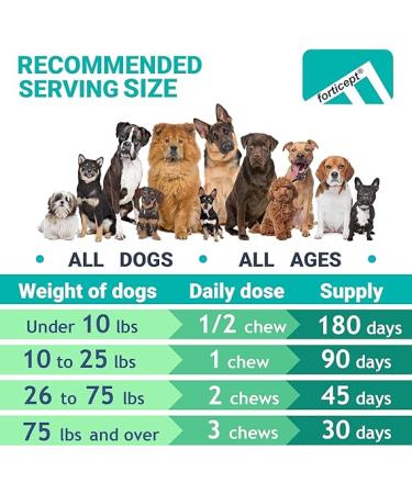 FORTICEPT Dog Hip & Joint Supplement with Glucosamine  Chondroitin  MSM  Green-Lipped Mussels & Curcumin - Arthritis Support - 90 Bacon Flavored Chews - Buy Online on GoSupps.com