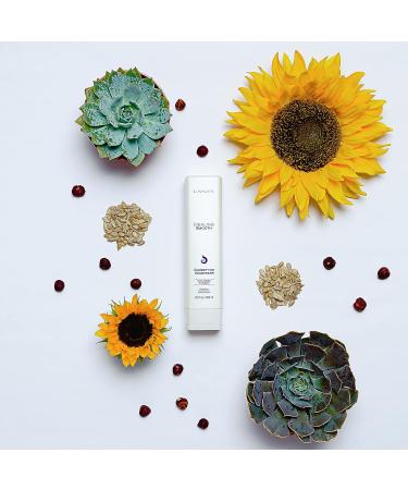 L'ANZA Healing Smooth Glossifying Conditioner - Nourishing, Repairing, Shine-Boosting Formula for Silky-Smooth, Frizz-Free Hair - 8.5 Fl Oz - Buy Online on GoSupps.com