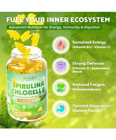 Organic Spirulina Chlorella Gummies Super Greens Blend with Protein Chlorophyll Vitamin C D3 B12 Zinc Supports Daily Energy Immune System & Antioxidant Intake Pineapple Flavor 60 Count 60 Count (Pack of 1) - Buy Online on GoSupps.com