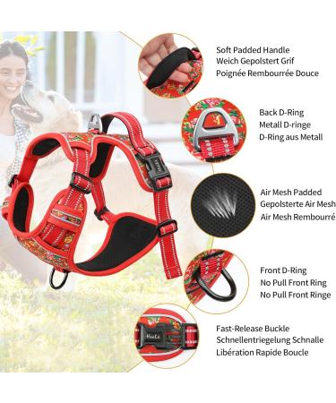 Heele Dog Crockery & Reflective No-Pull Harness for Small Dogs - Adjustable Padded Breast Harness & Dish in XS Flower Red - Buy Online on GoSupps.com