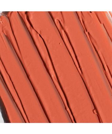 Half Caked Candy Paint Cheek + Lip Tint (Club Paradise) | Vegan & Cruelty-Free | Clean Beauty | Fragrance-Free | Glass Skin Finish - Buy Online on GoSupps.com