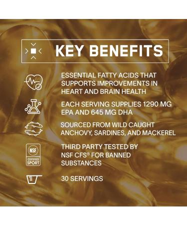 BARE PERFORMANCE NUTRITION BPN Recover Post-Workout Muscle Recovery Drink Mix Fruit Punch 25 Servings + Strong Omega Fish Oil Soft Gel 30 Servings | Recovery + Heart & Brain Health Bundle - Buy Online on GoSupps.com