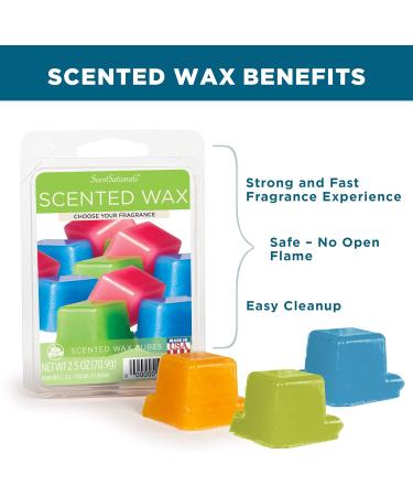 Buy Scentsationals Magic Spell Wax Melts - Strong Scented Wax Cubes Long Lasting 2.5 oz (6 Cubes) - Fast International Shipping - Buy Online on GoSupps.com