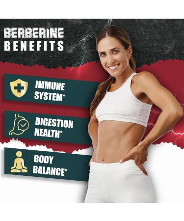 5-in-1 Berberine 14000mg with Ceylon Cinnamon, Milk Thistle, Turmeric & Artichoke - Immune & Heart Support - 3 Month Supply - Buy Online on GoSupps.com