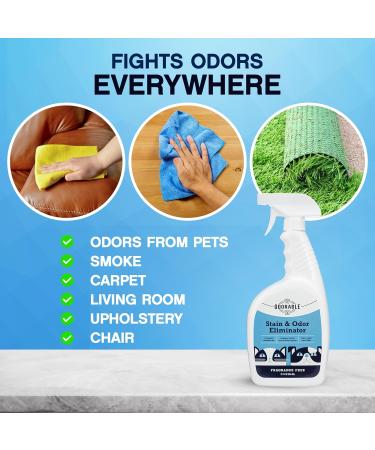Stain & Odor Eliminator for Pets - 32 oz Professional Cleaner for Urine Vomit & Feces | Safe for Carpet Couch & Floor | Advanced Odor Control Spray - Buy Online on GoSupps.com