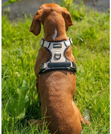 Lionto Dog Harness - Padded Anti-Pull Reflective Safety Harness Adjustable Size M in Beige - Ideal for Comfortable Walking - Buy Online on GoSupps.com