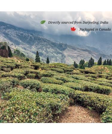 CJay Imperial Darjeeling Tea | Whole Leaf tea bags | 40 tea bags | Eco-conscious packaging | Non GMO Gluten Free | High Grown in the Himalayas of India | Resealable Pouch 40 Whole leaf Tea bags Darjeeling Tea - Buy Online on GoSupps.com