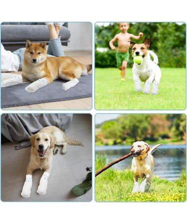 ZOCONE 24 Pcs Disposable Dog Shoes Dog Boots for Injured Paws Waterproof Disposable Dog Socks Paws Stop Licking Dog Shoes for Injured Paws with Self Adhesive Bandage for Indoor Outdoor Walking(M) - Buy Online on GoSupps.com