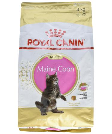 Royal Canin Kitten Food Maine Coon 36 Dry Mix 4 kg Variety 4 kg (Pack of 1)