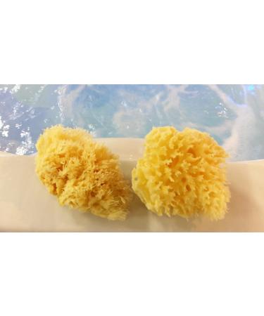 Honeycomb Natural Sea Sponge - Yellow - from Greece - 3 inches - Buy Online on GoSupps.com