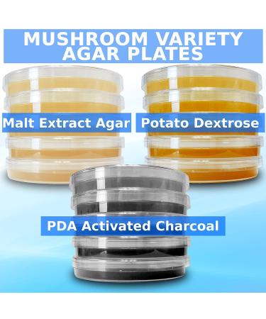 Agar Variety Kit by Evviva Sciences - Premium Performance for Mushrooms & Science Projects - Buy Online on GoSupps.com