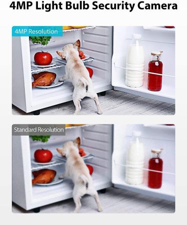 LaView 4MP Bulb Security Camera | 2K Wireless Outdoor Indoor | Motion Detection, Audible Alarm | Easy Installation | Alexa Compatible - Buy Online on GoSupps.com