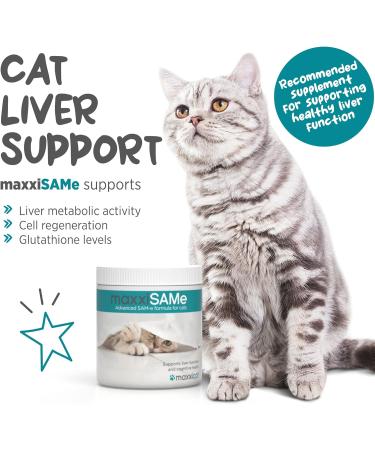 maxxipaws maxxiSAMe Advanced SAM-e Liver and Cognitive Supplement for Cats Given with Food Powder 90 g 90 count (Pack of 1) - Buy Online on GoSupps.com