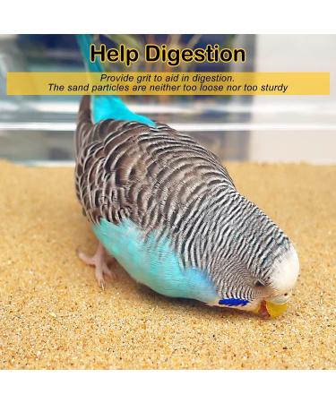 S&X Bird Cage Gravel Paper 30 Pack | 15 x 11 Sand Sheets for Easy Cleaning & Bird Health - Buy Online on GoSupps.com