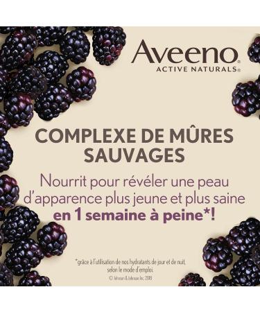 Aveeno Anti Aging Night Cream Active Naturals Absolutely Ageless Restorative Face Moisturizer for Wrinkles and Fine Lines Hydrating Lotion with Blackberry Complex Non-Comedogenic and Hypoallergenic 48ML - Buy Online on GoSupps.com