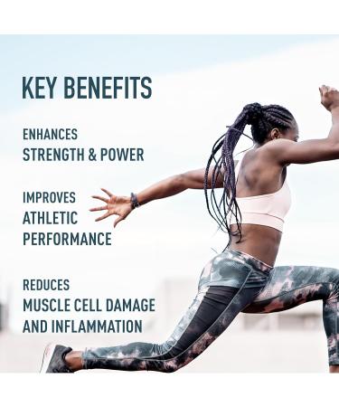 ORGANIKA Unflavoured Creatine Powder 500 GR - Buy Online on GoSupps.com