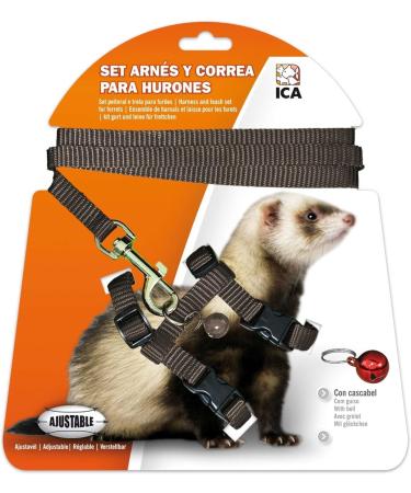 ICA DA973 Ferret Set with Harness & Belt - Black | Premium International Shipping - Buy Online on GoSupps.com